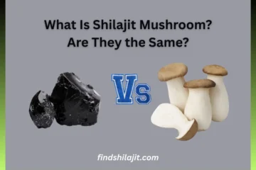 What Is Shilajit Mushroom