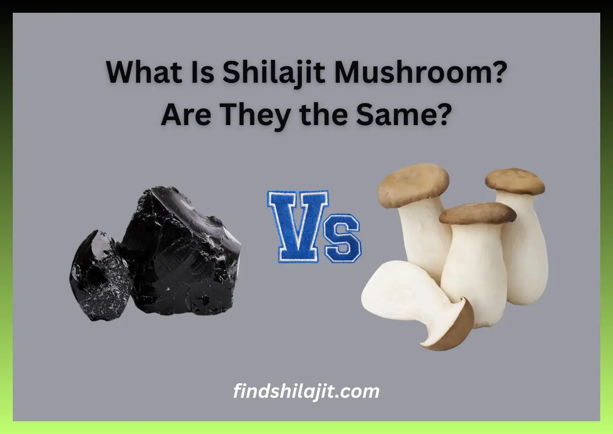 What Is Shilajit Mushroom