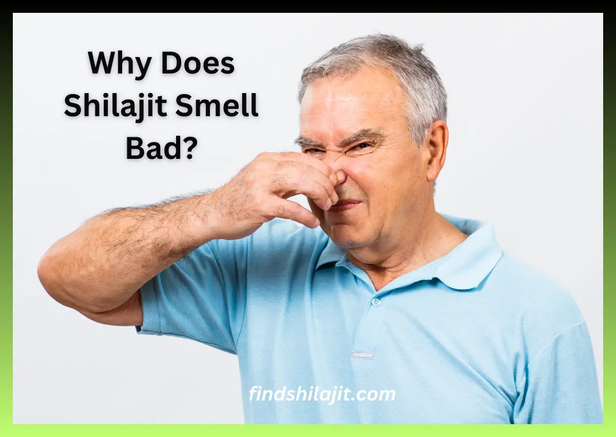 Why Does Shilajit Smell Bad