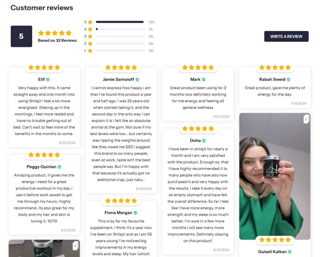 Himalayan Power Shilajit