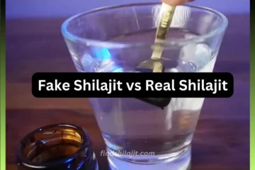 Fake Shilajit vs Real Shilajit