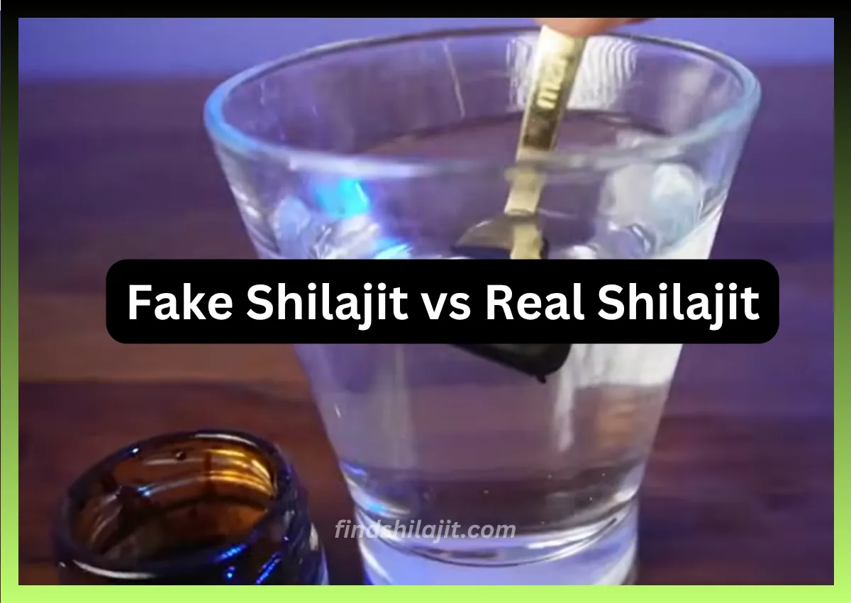 Fake Shilajit vs Real Shilajit