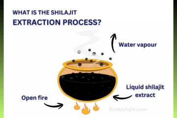 What Is The Shilajit Extraction Process
