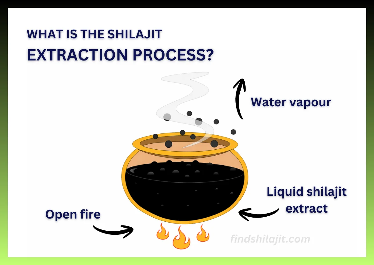 What Is The Shilajit Extraction Process