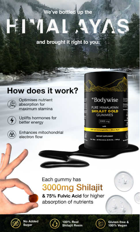 shilajit images for bodywise