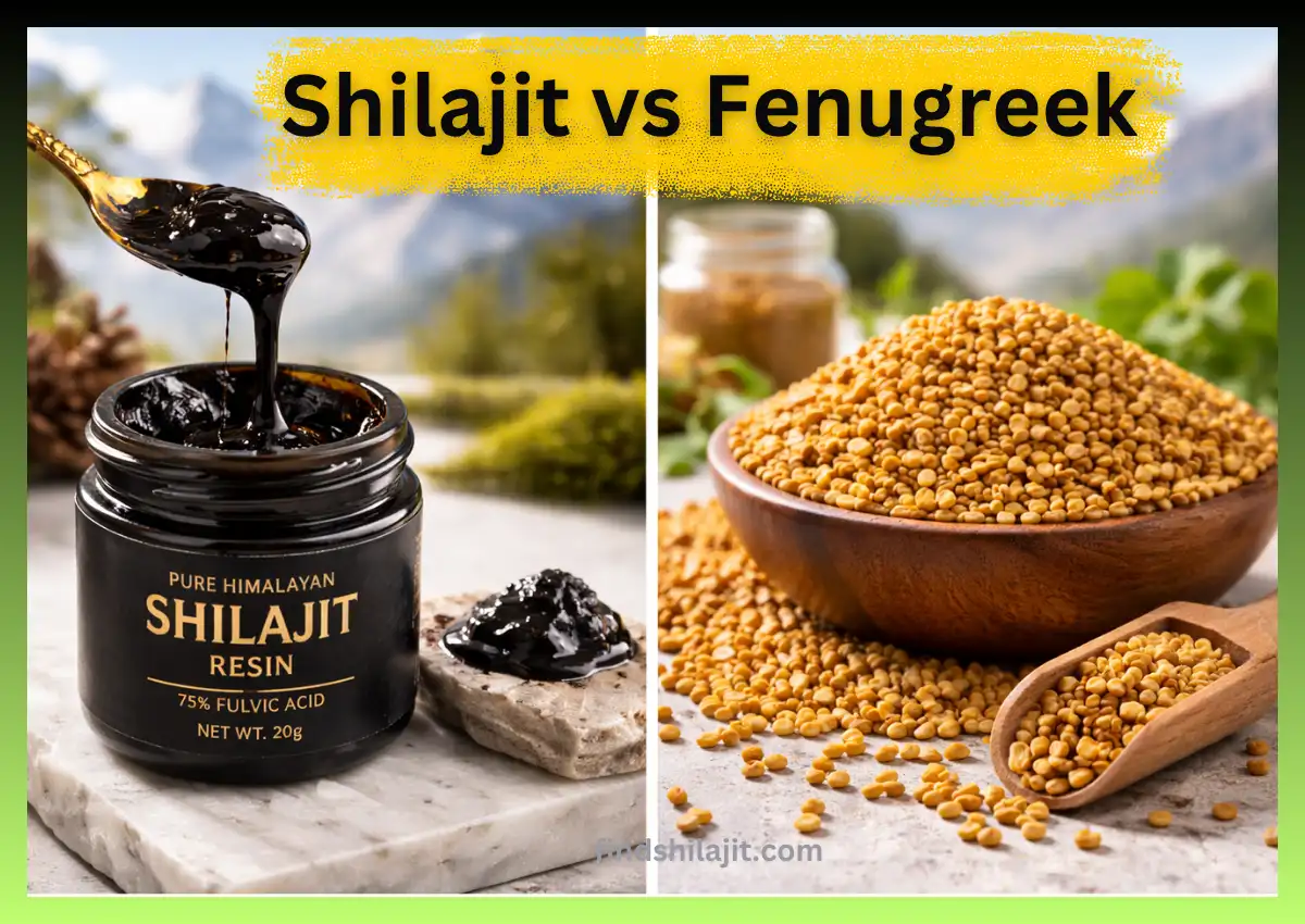 Shilajit vs Fenugreek