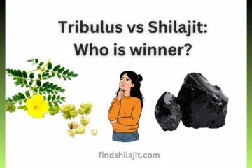 Tribulus vs Shilajit