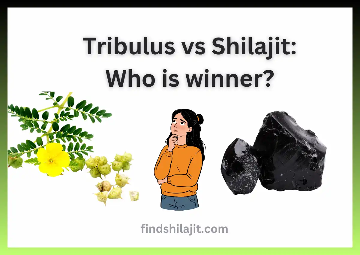 Tribulus vs Shilajit