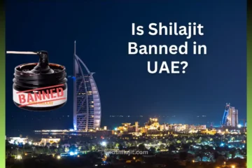 Is Shilajit Banned in UAE
