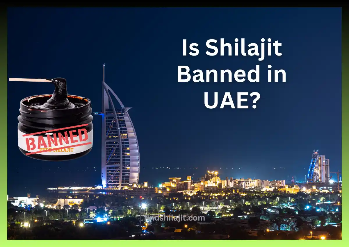 Is Shilajit Banned in UAE