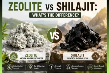 Zeolite vs Shilajit