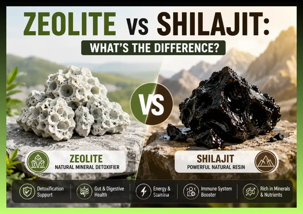 Zeolite vs Shilajit