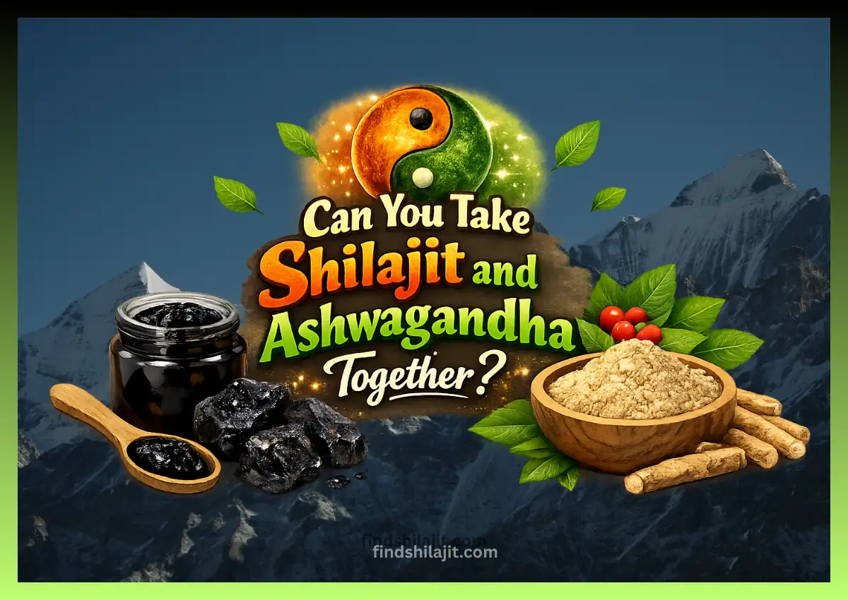 Can You Take Shilajit and Ashwagandha Together