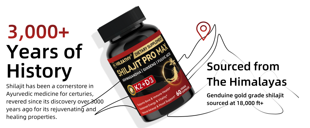 shilajit pro max bottle