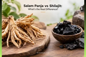 Salam Panja vs Shilajit