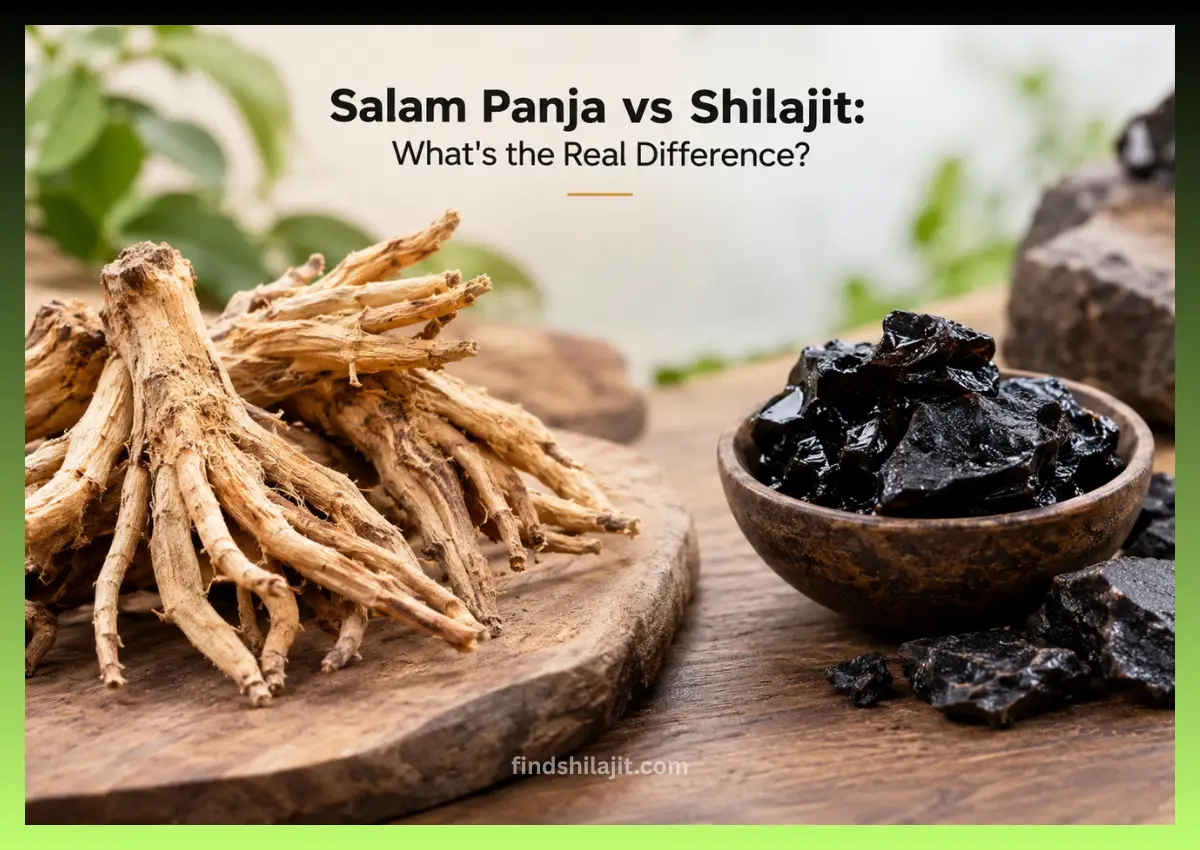 Salam Panja vs Shilajit