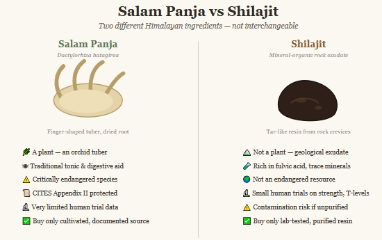 shilajit vs salam panja
